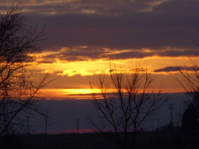 [DSCI0052.JPG]