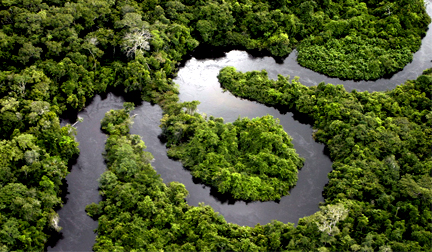 [amazonia.jpg]