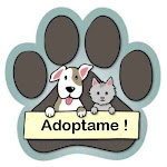 Perros en adopción