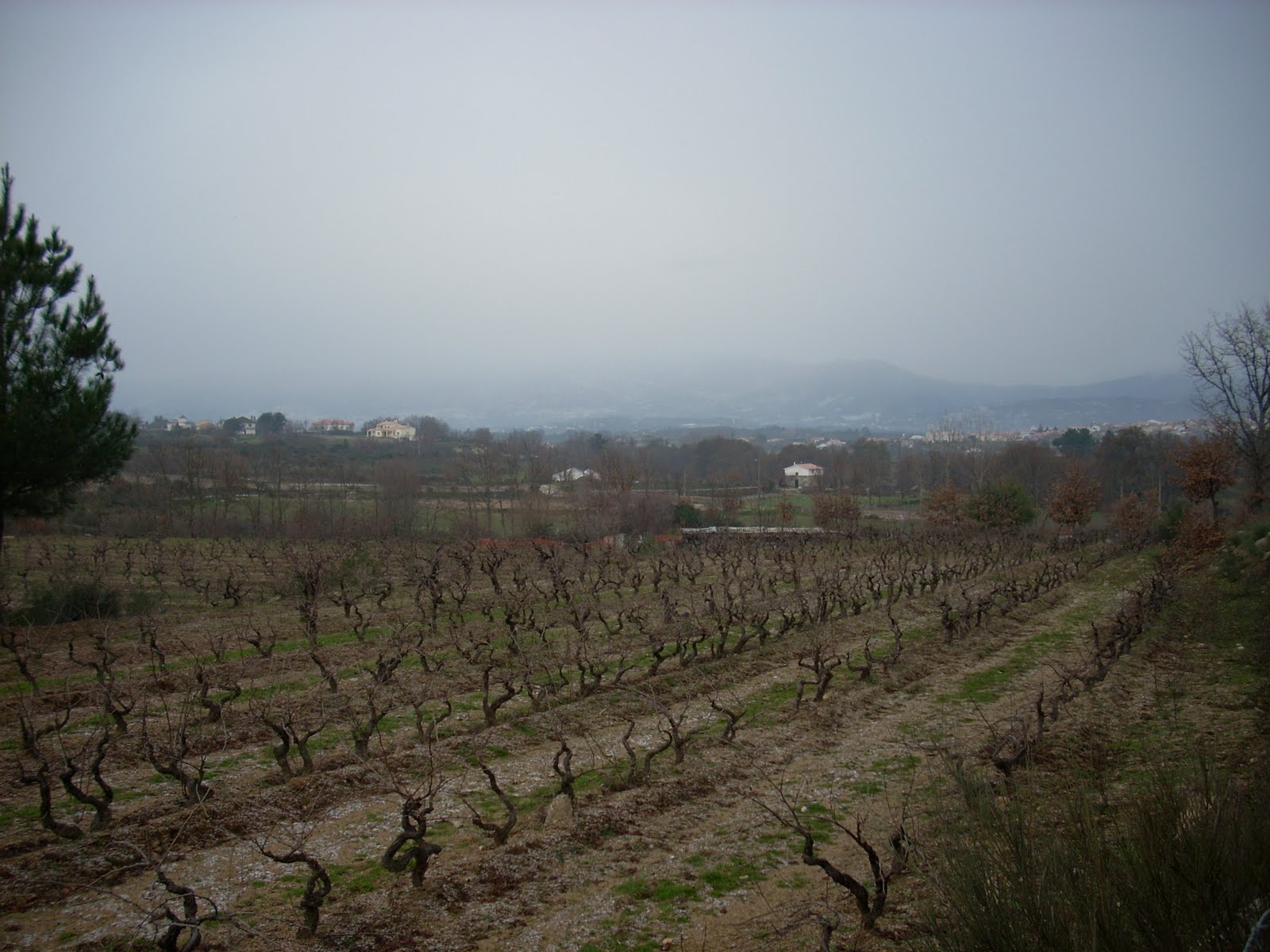 [DSCN0864.JPG]