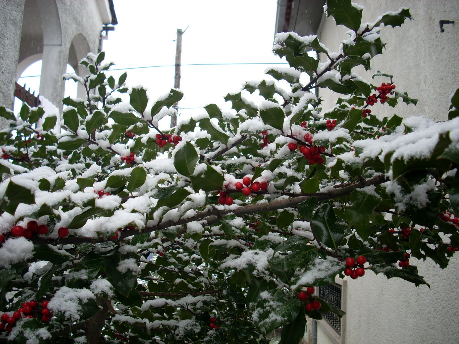 [DSCN0886.JPG]