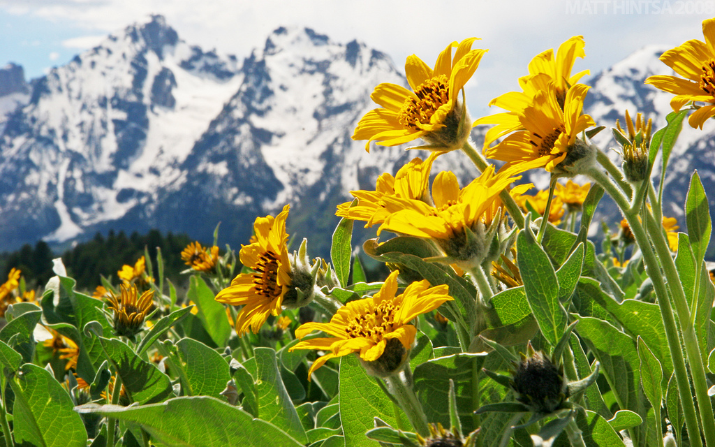 eautiful nature wallpaper beautiful wallpapers of nature for desktop. eautiful nature wallpaper