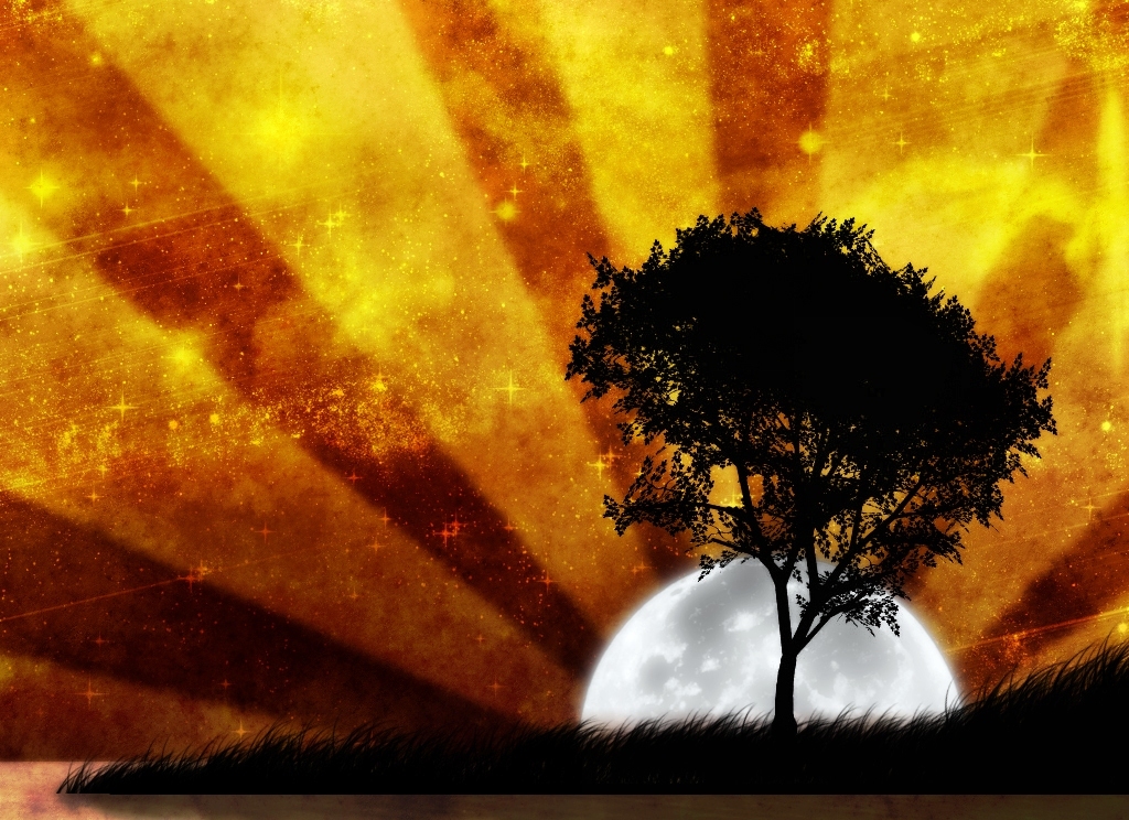 moon,full moon wallpapers full moon wallpaper. moon,full moon wallpapers