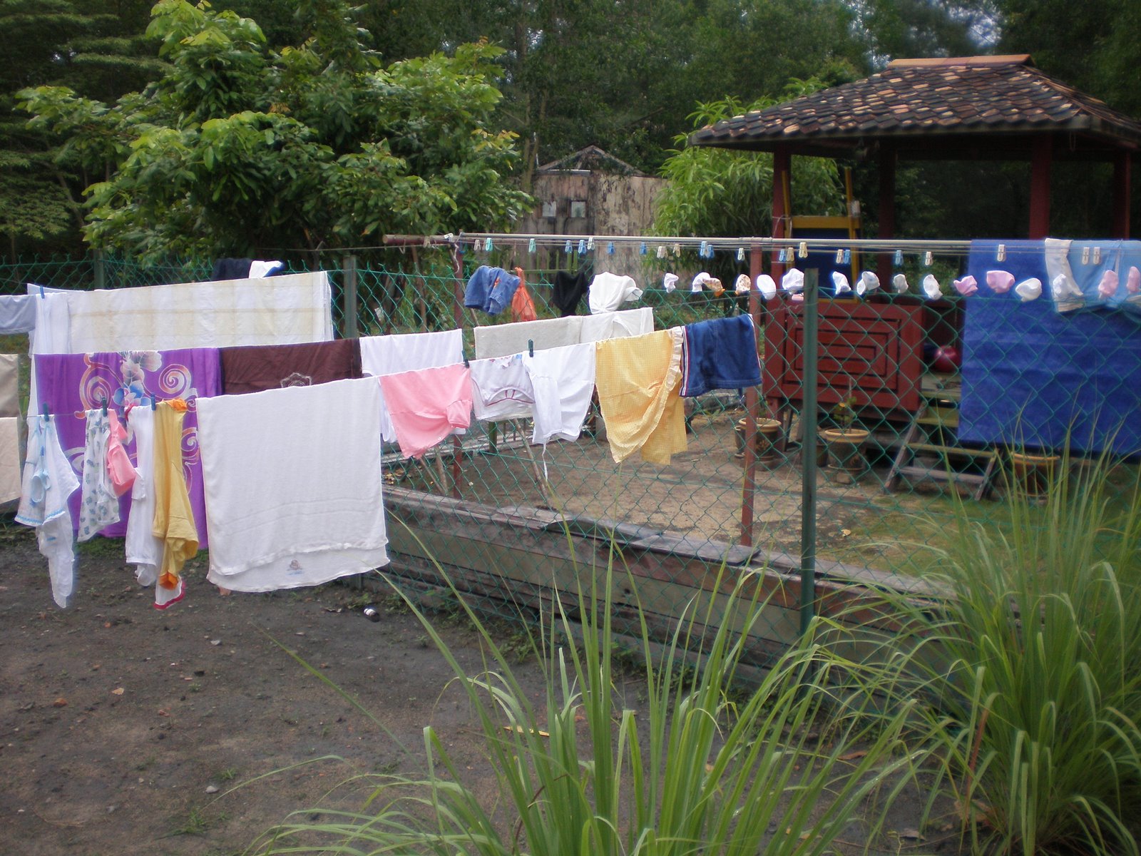 [P7020017.JPG]
