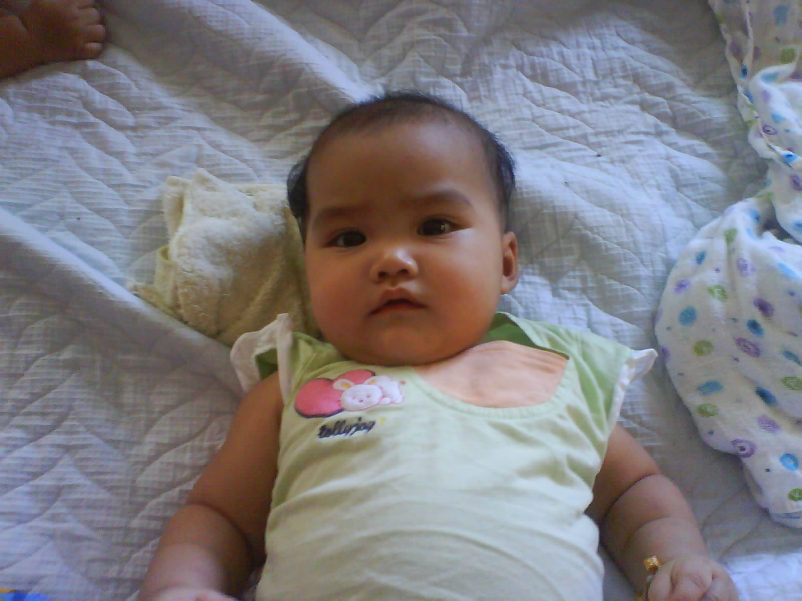[DSC00221.JPG]