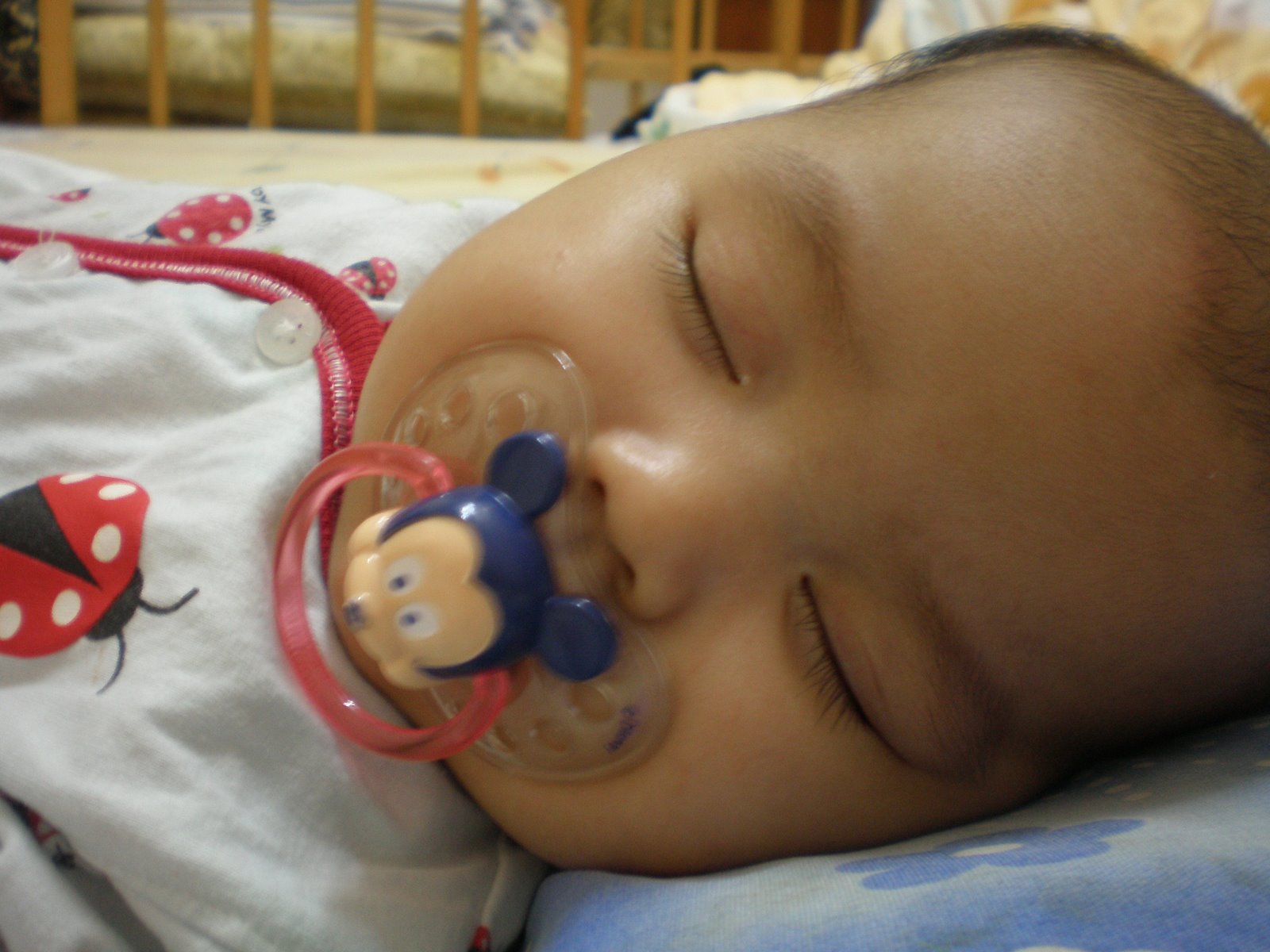 [P7080045.JPG]