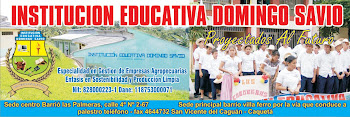 INSTITUCION EDUCATIVA DOMINGO SAVIO