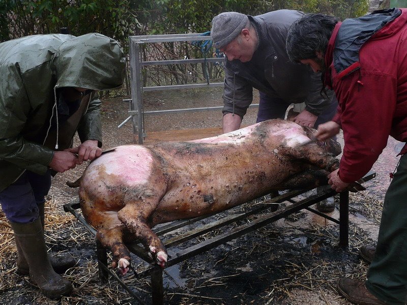 [P1020512_redimensionar.JPG]