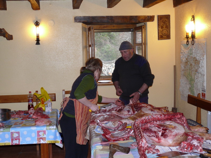 [P1060770_redimensionar.JPG]