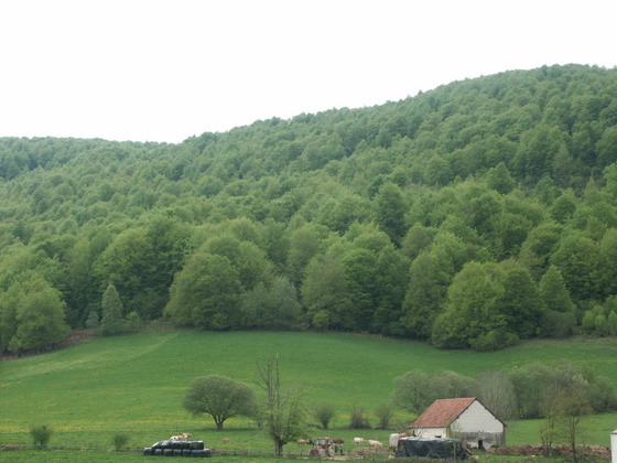 [7+primavera+en+casas+rurales+en+navarra.jpg]