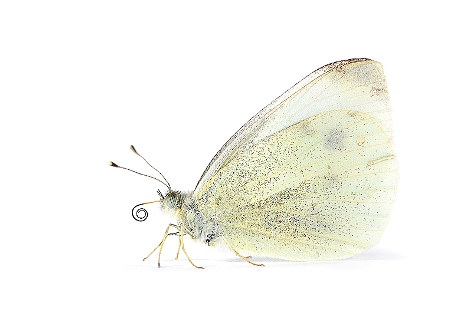 [Stephane+Hette1.jpg]