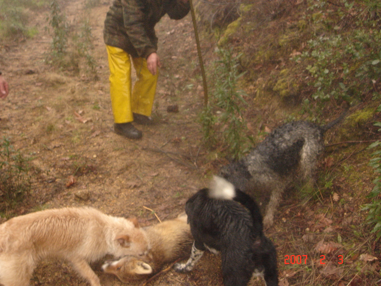 [DSC00029.JPG]
