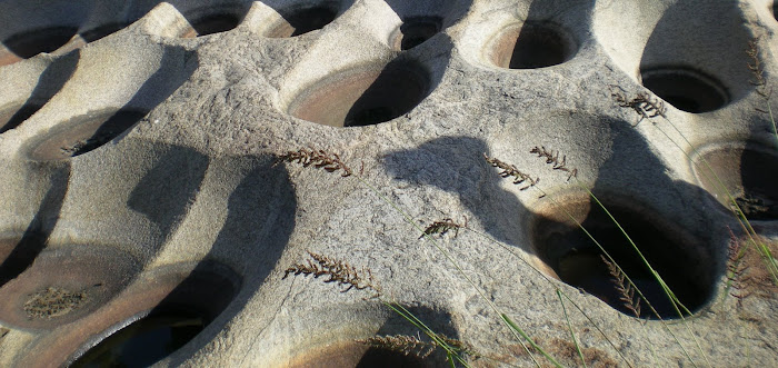 Grinding Stone, Lafon