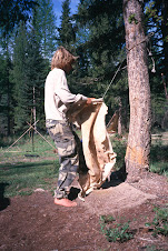 softening a deer hide