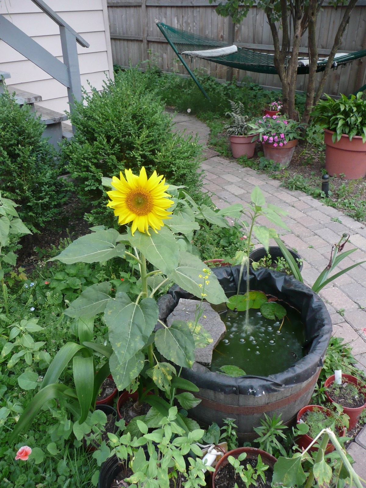 [P1020857.JPG]