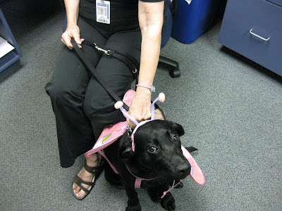 HRH looks up into the camera with her antenna headband on. She didn't fuss with it at all.