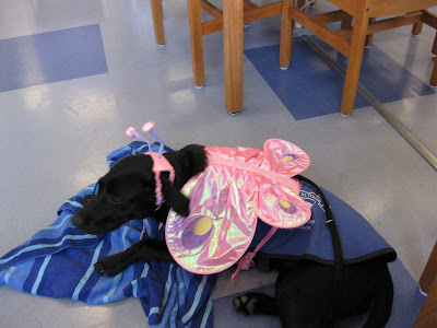 After the Halloween parade I put her puppy coat on and the costume over it. HRH is lying on her towel in the library.