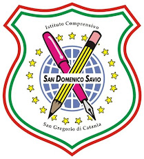 Il Logo della San Domenico Savio