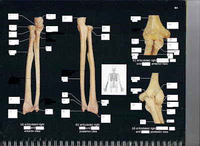 Austin Anatomy: October 2009