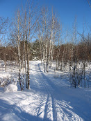 U.P. Classic Tracks