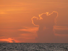 TEDDY BEAR CLOUD