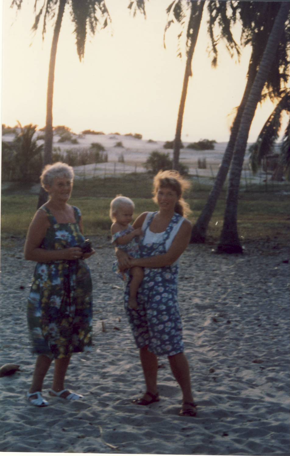 [Image0042.JPG]