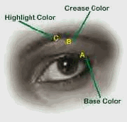 3 Sections of the Eye