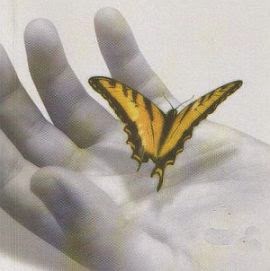 [borboleta_mao.jpg]