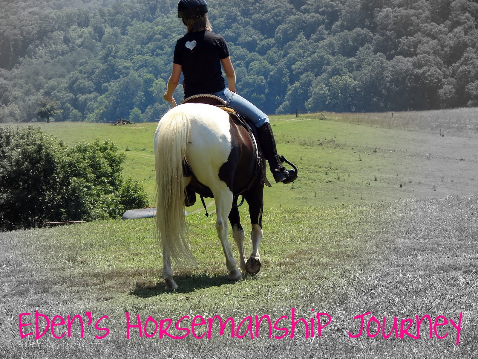 Eden's Horsemanship Journey