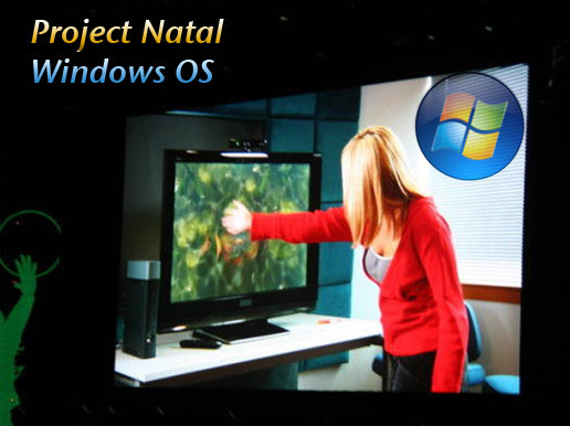 [project-natal-windows.jpg]