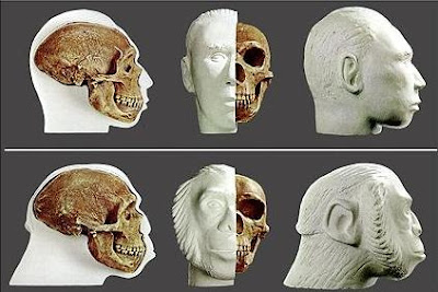 O que se sabe realmente sobre os "homens das cavernas"  As+Duas+Faces+do+Neandertal
