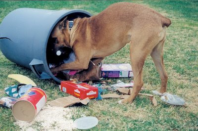 BALANÇO DE FIM DE ANO - Página 3 Cachorro+lixo