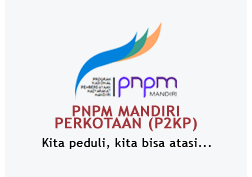 [pnpm_logo.png]