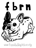 French Bulldog Rescue Network