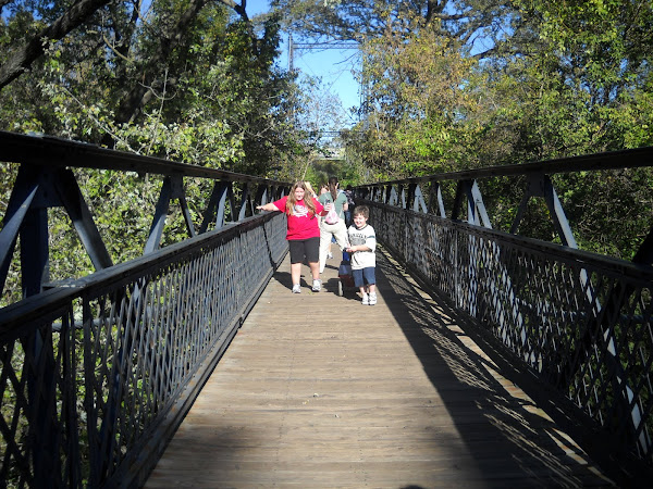 The swinging bridge