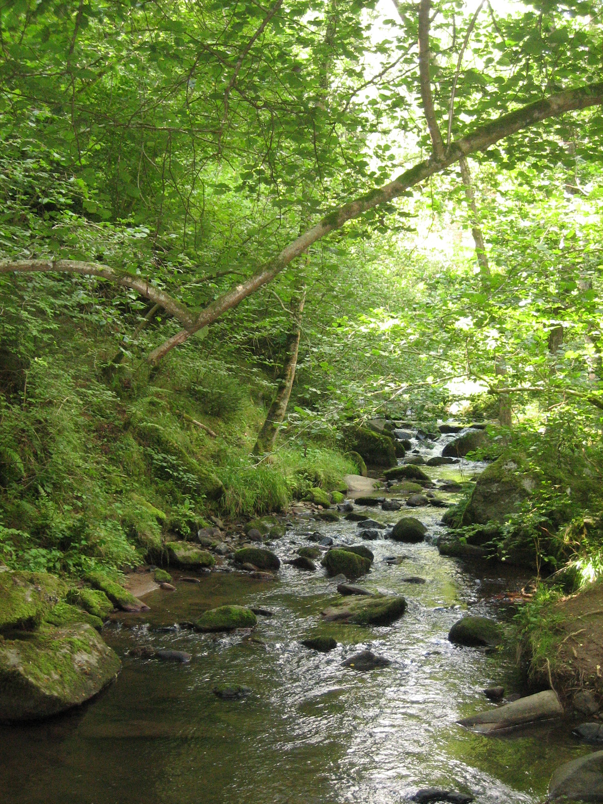 [IMG_2040.JPG]