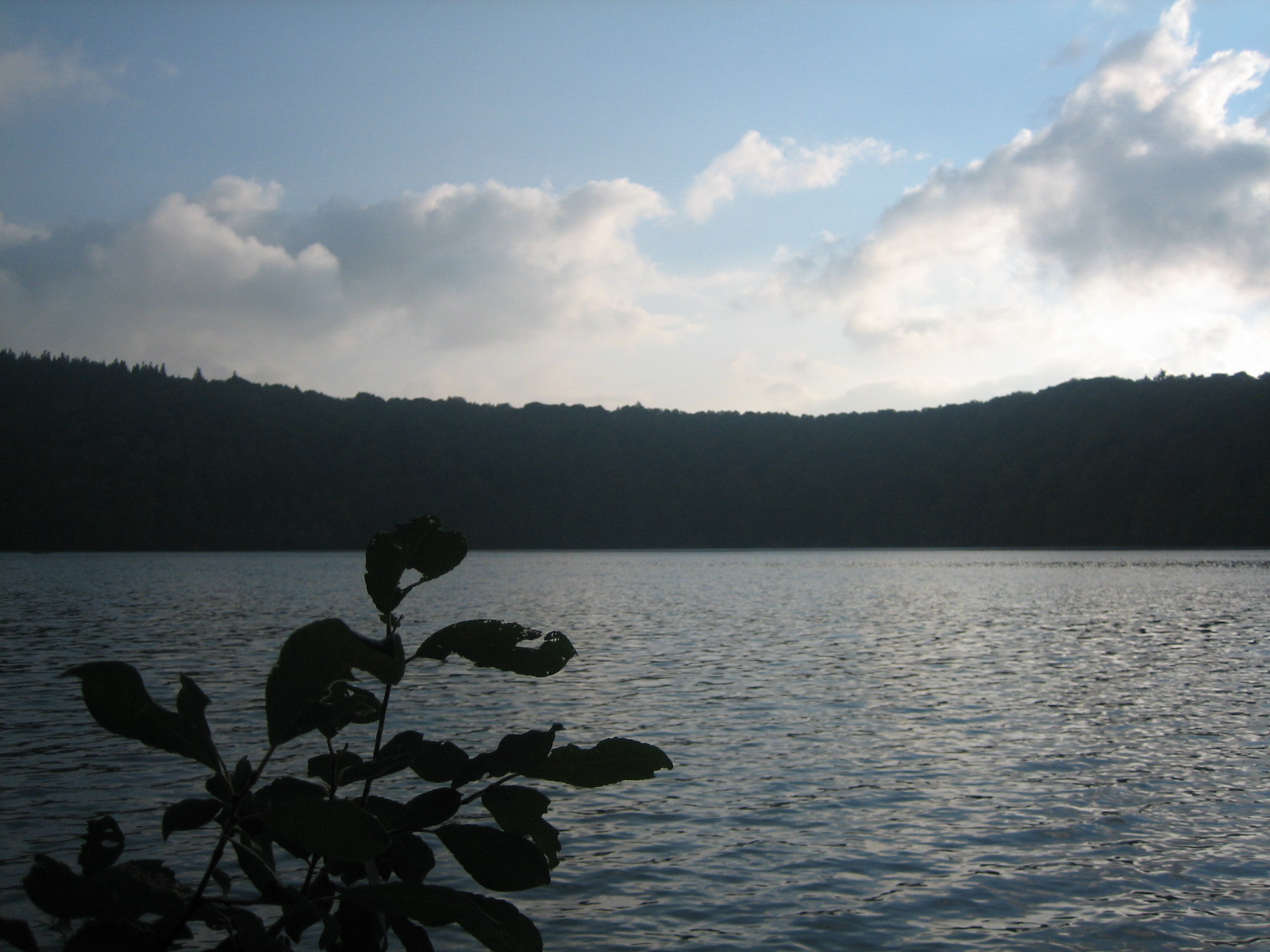 [IMG_1815.JPG]