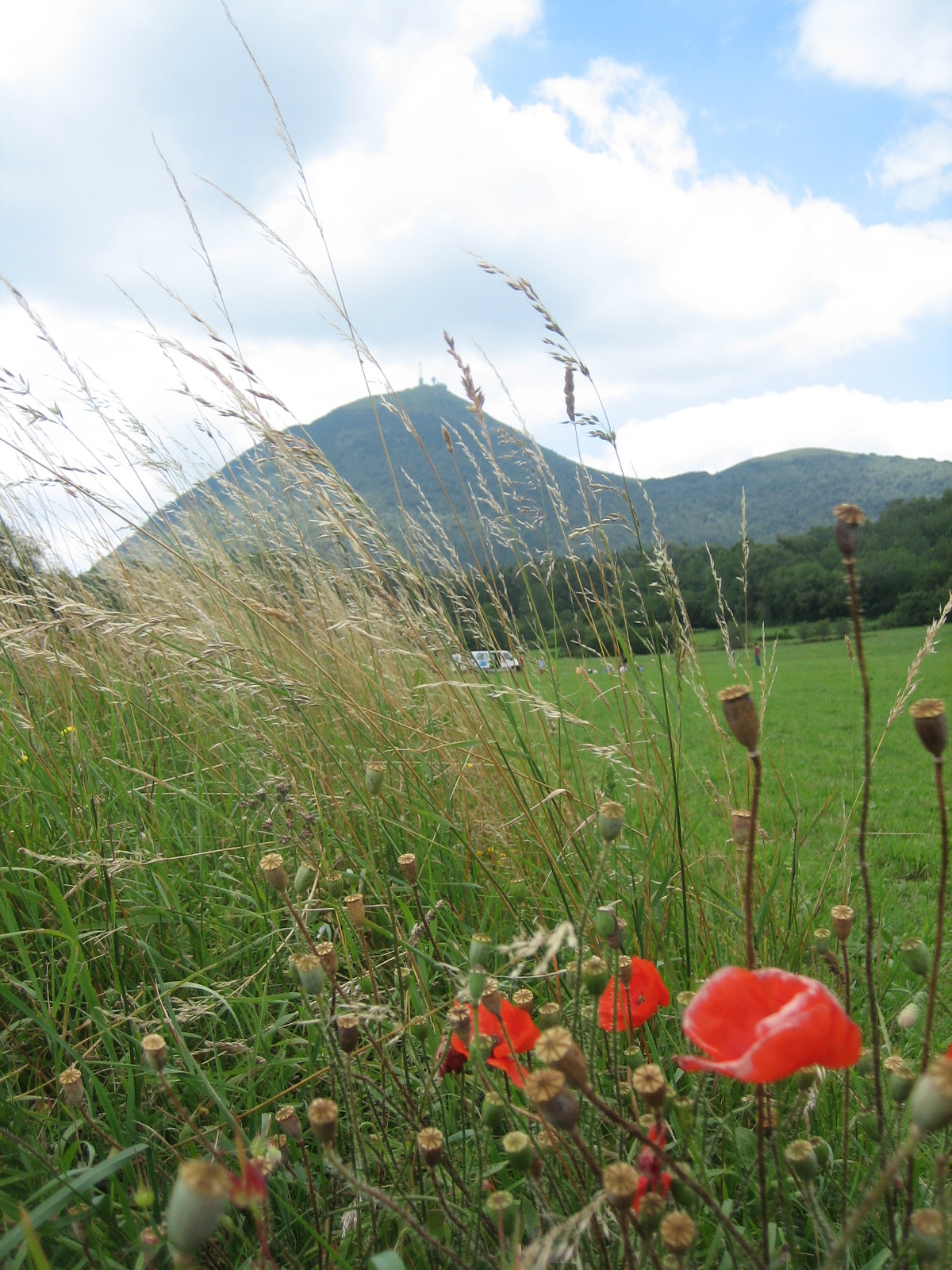 [IMG_1484.JPG]