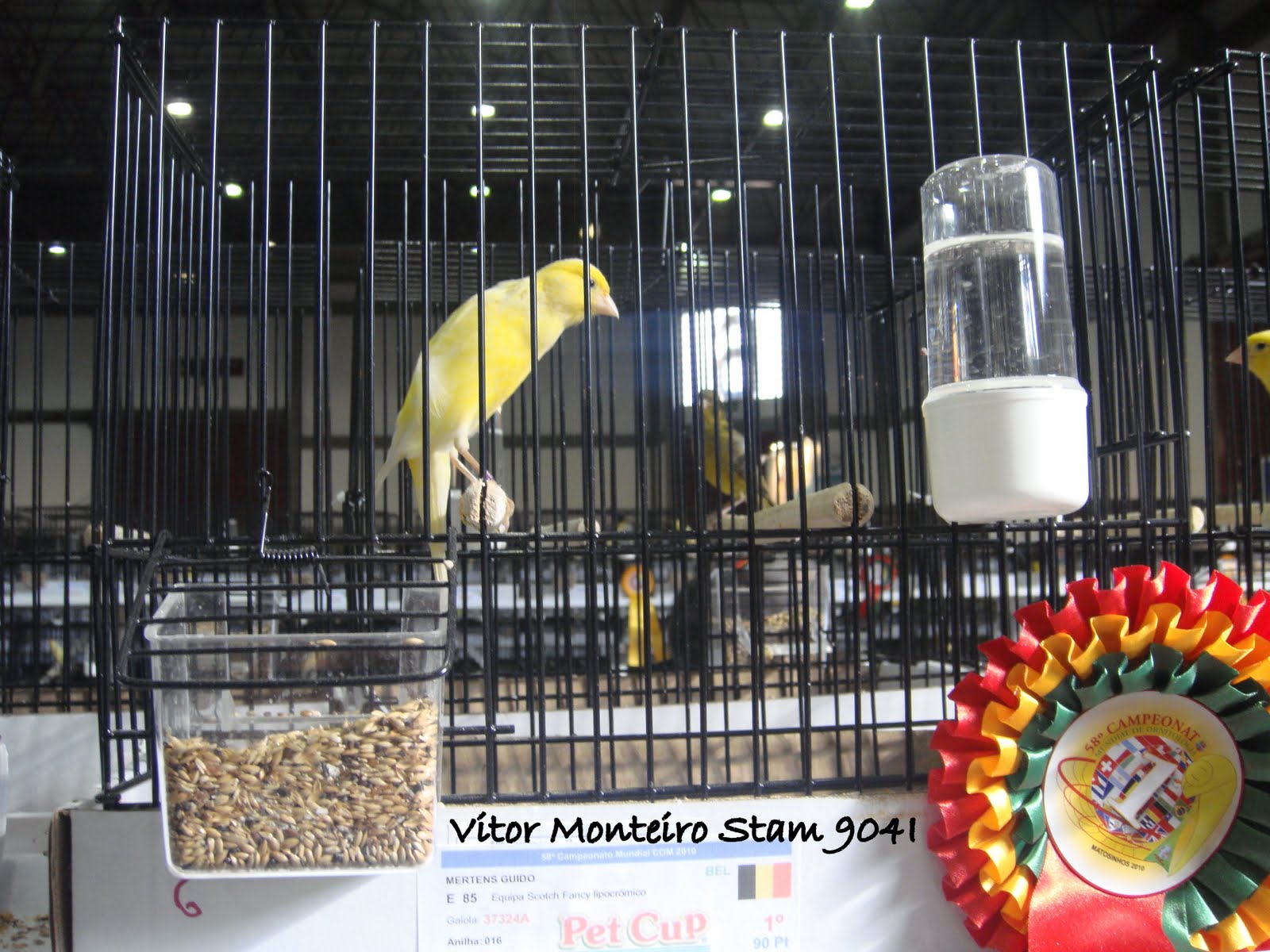 [DSC01440.JPG]