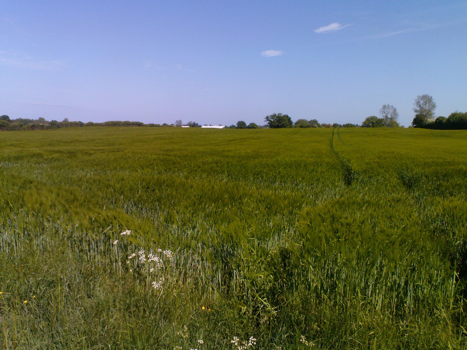 [DSC00289.JPG]