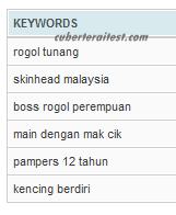 Tak adalah banyak macam korang punya analisis traffic nuffnang kan