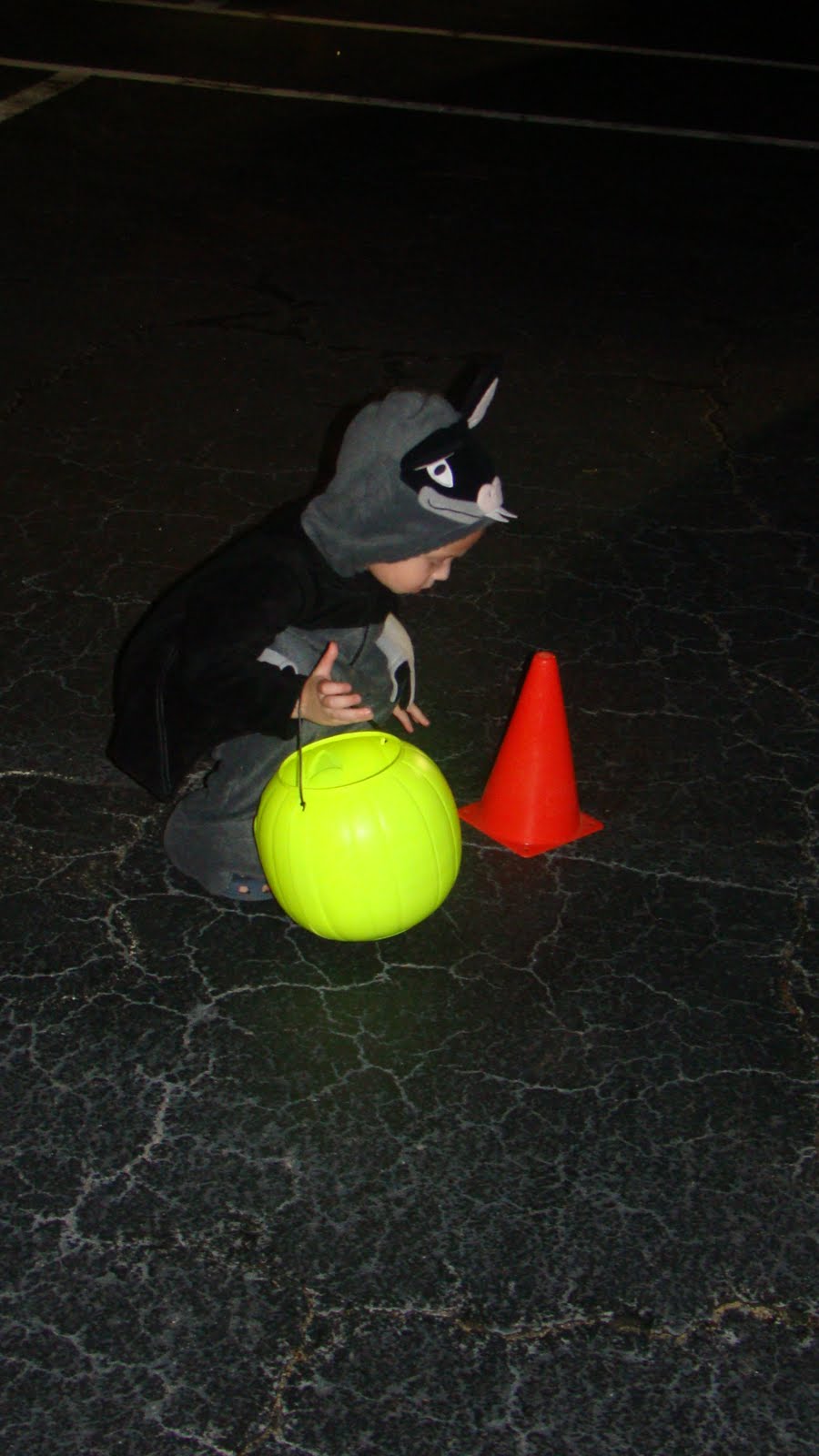 [DSC02655.JPG]