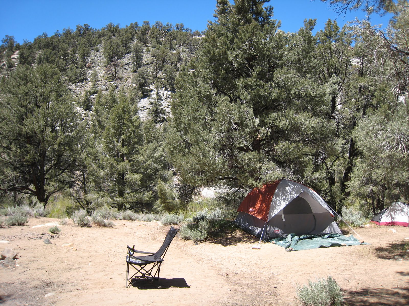 Eric's Happy Little Tree Kennedy Meadows Campground