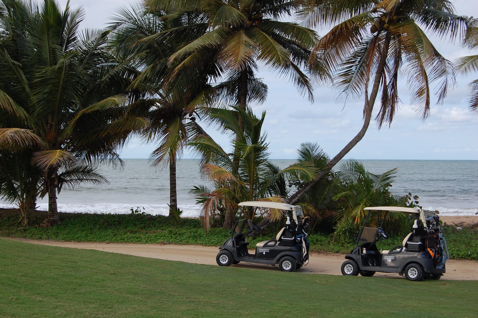 A few photos from our Puerto Rico golf vacation! Golf for Beginners