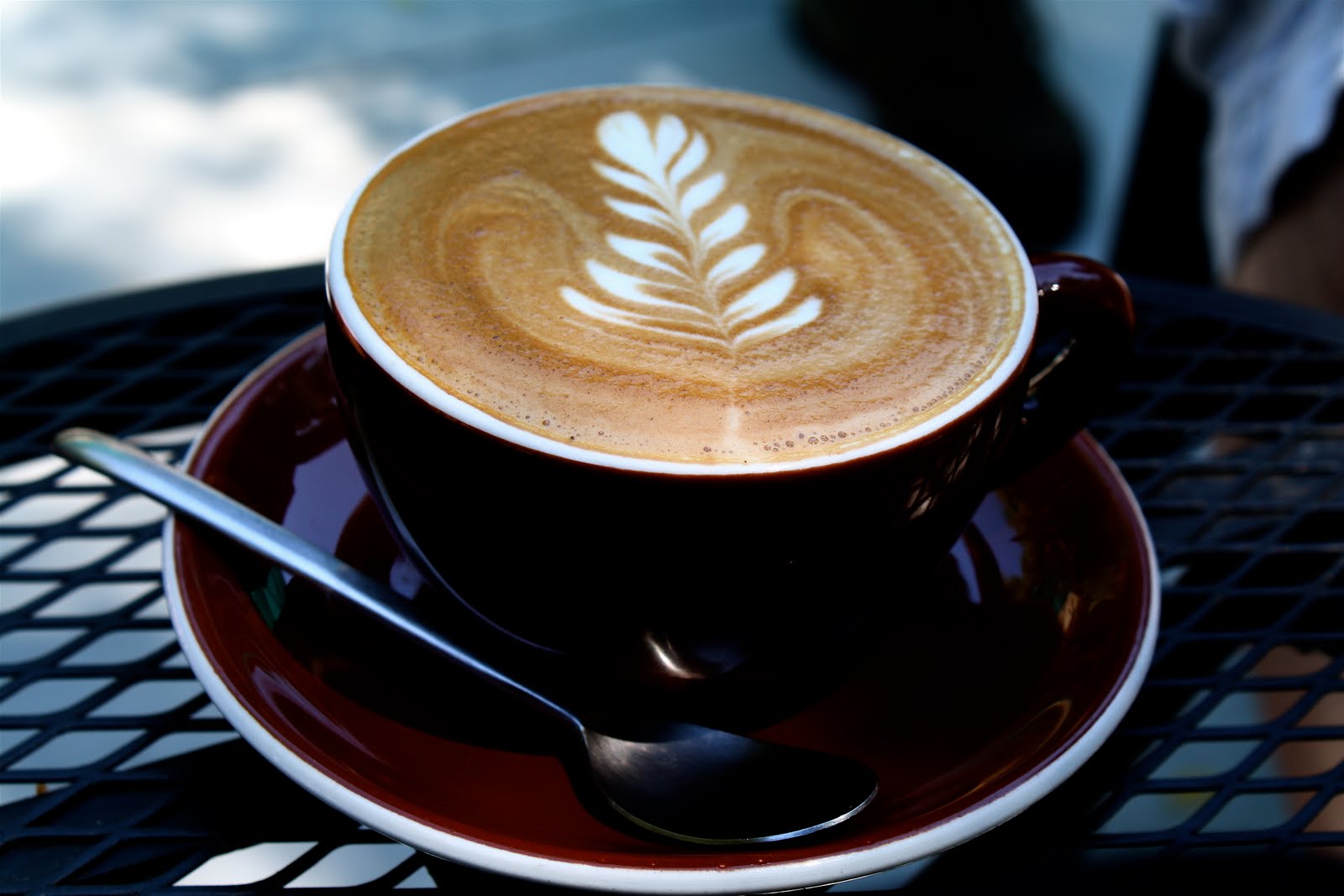 Out of the Kitchen Food Adventures Chocolate Fish Coffee