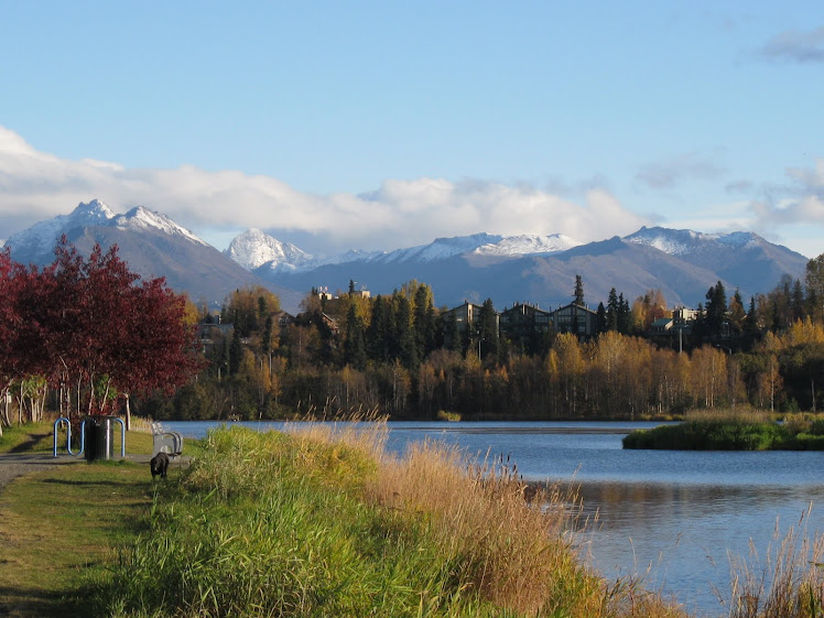 Westchester Lagoon