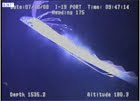 Gulf SERPENT oarfish image