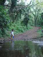 the river I fell into