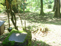 Keanae Arboretum
