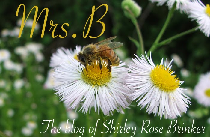 Shirley Brinker's Blog